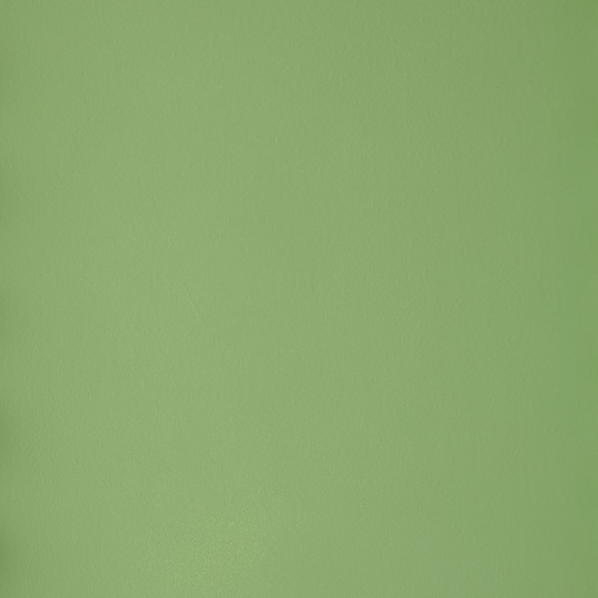 Maisie Tall Bookcase Green