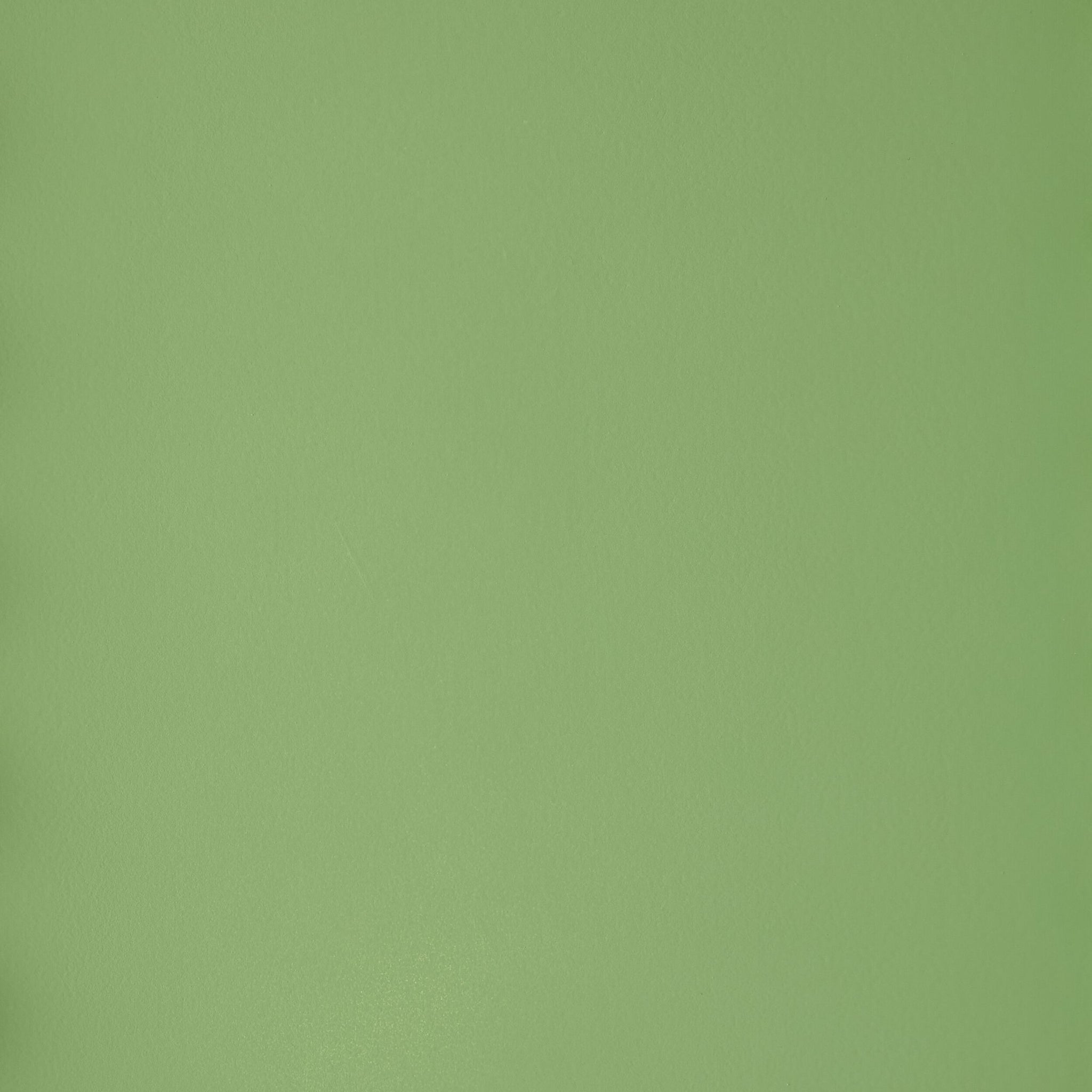 Maisie Tall Bookcase Green