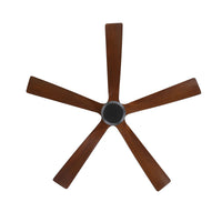 Breeze 132cm Indoor DC Fan - Black with Dark Walnut Timber Blades