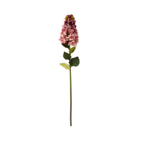 Bloomery Panicle Hydrangea Stem Mauve 95cm