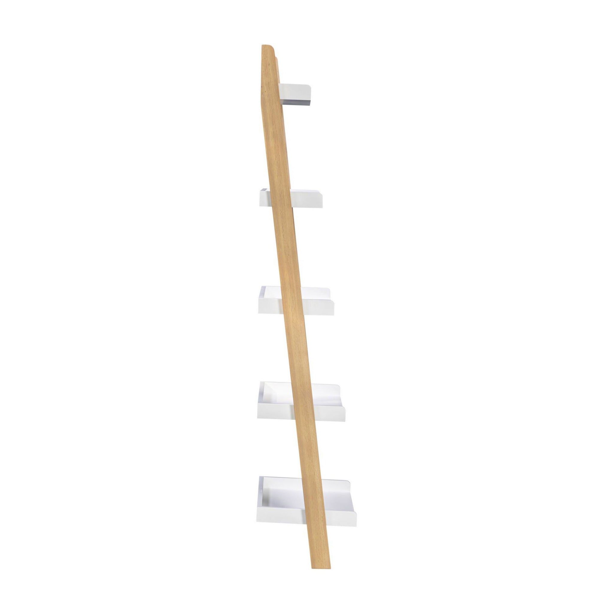Saige Ladder Shelving Unit