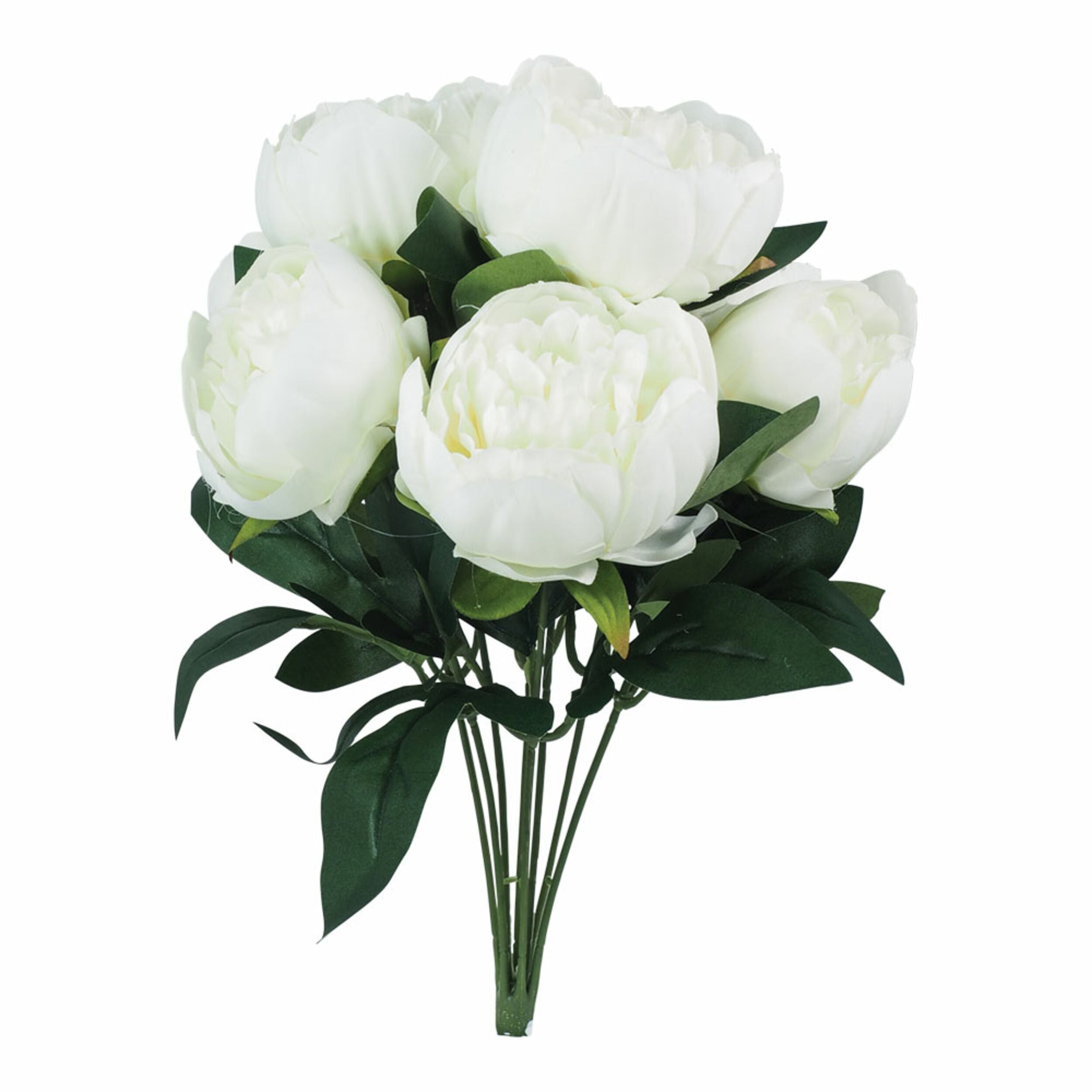 Floret Peony Bouquet x8 White