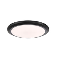 Seabrooke Black Light Kit