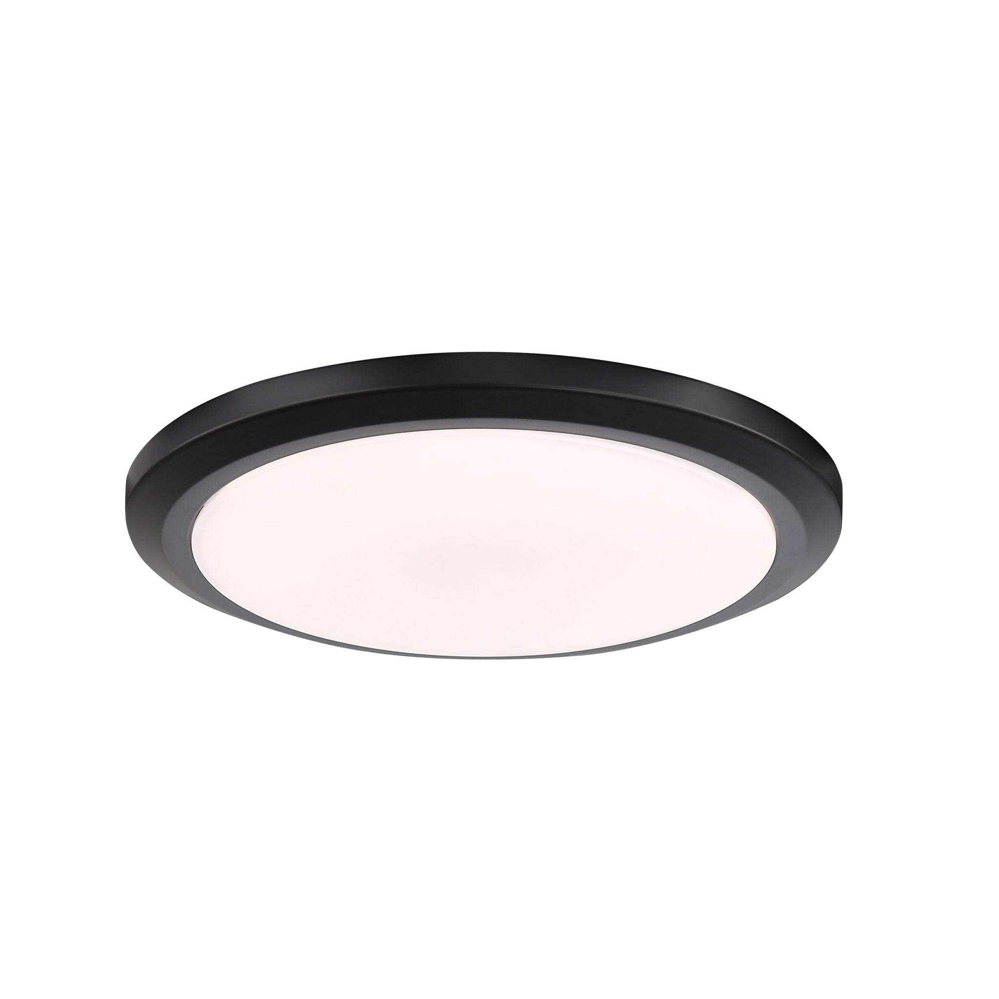 Seabrooke Black Light Kit
