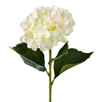 Floret Giant Hydrangea Cream 81.5cm