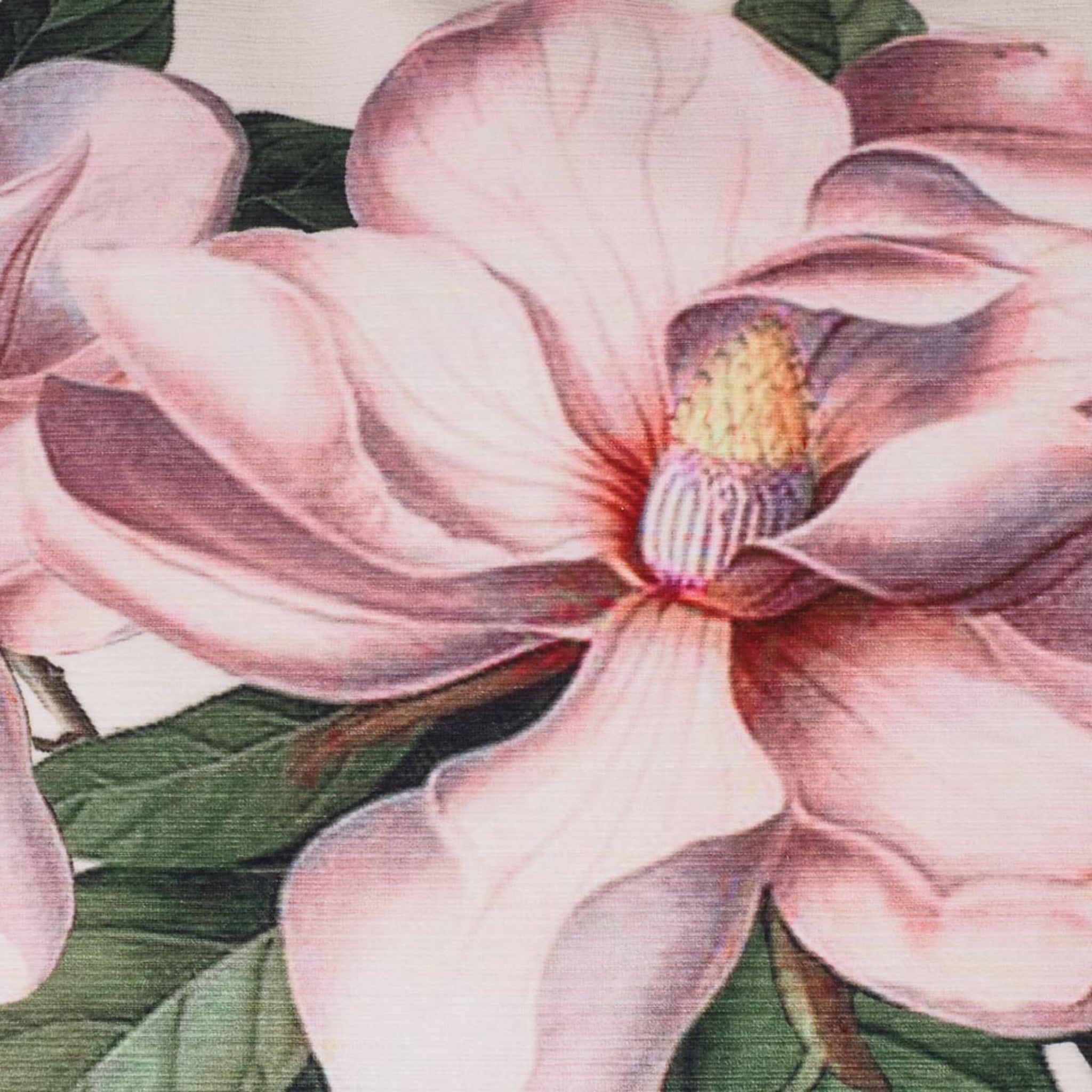 Cuscino Pink Magnolia Cushion 60x50cm