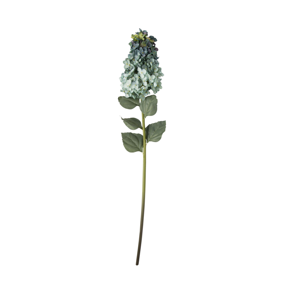 Bloomery Hydrangea Stem Teal 95cm