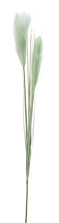 Floret Grass Stem 106cm