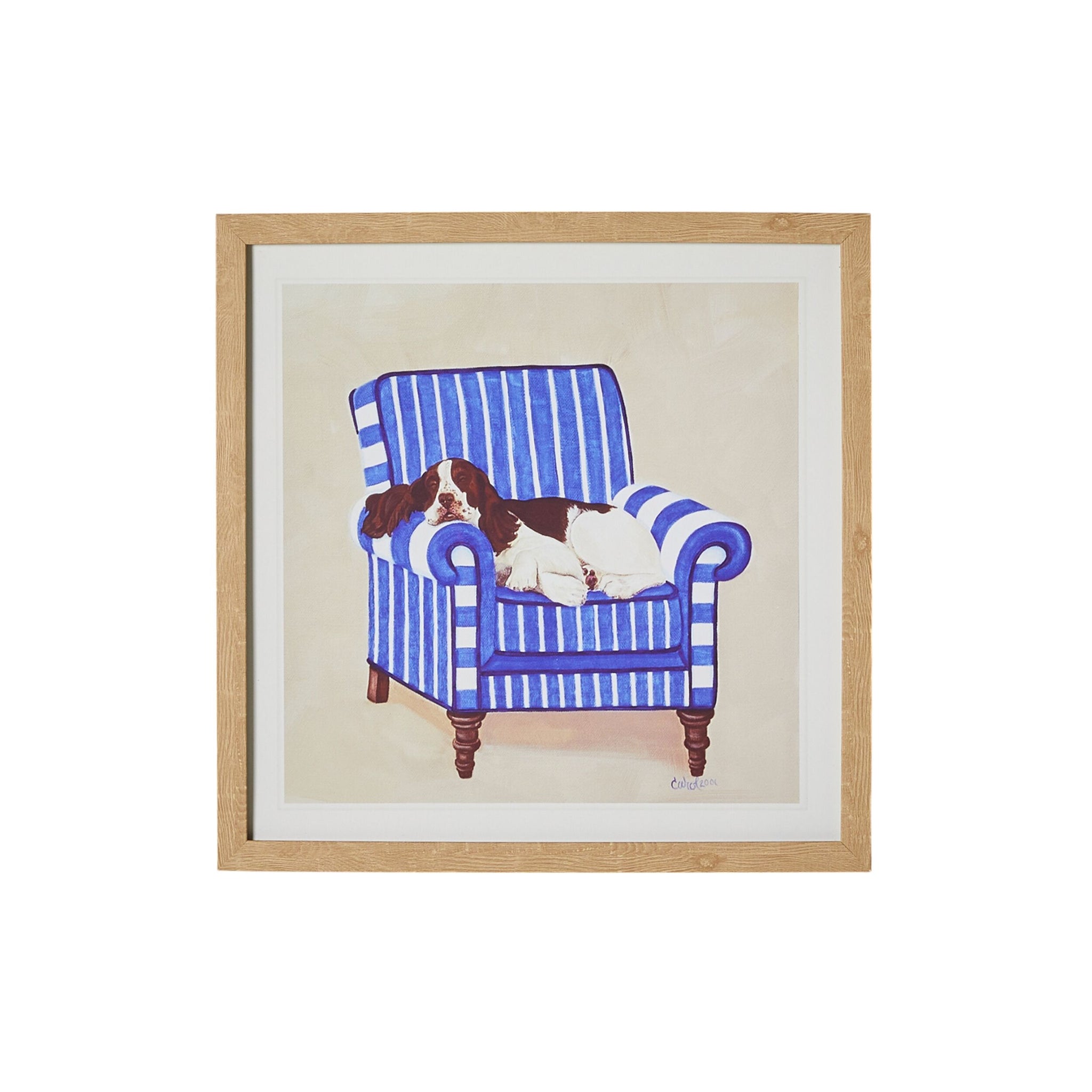 The Springer On Blue Framed Print 40x40cm by Carol Dillon features a vibrant depiction of a Springer Spaniel lounging gracefully on a blue and white striped armchair in an elegant wooden frame.