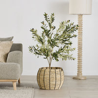lifestyle_insitu: