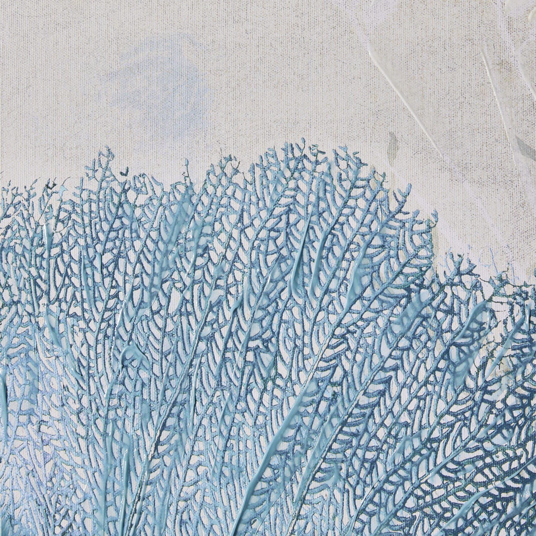 Galleries Coral I Canvas Print 45x60cm