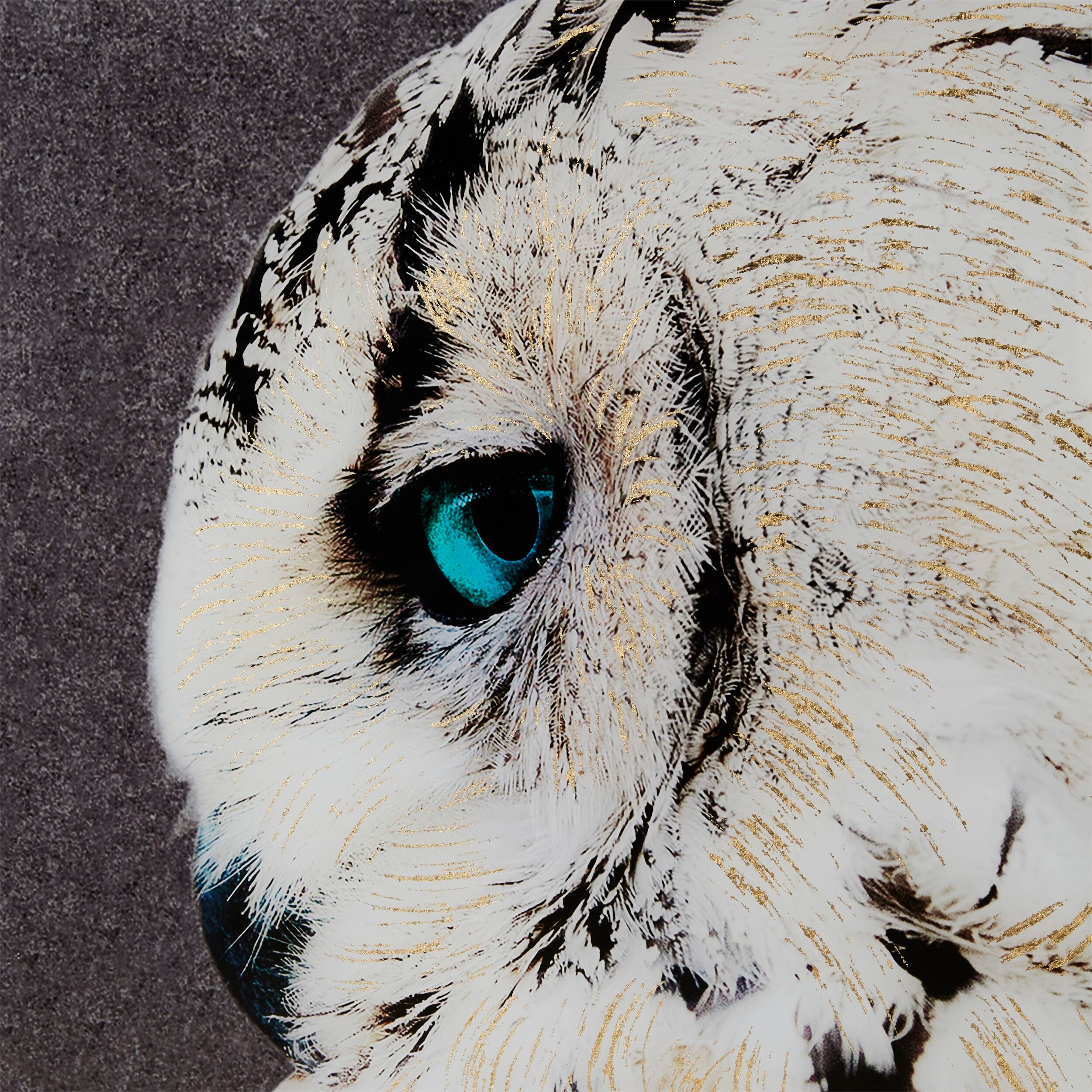 Snow Owl Framed Print 120x80cm