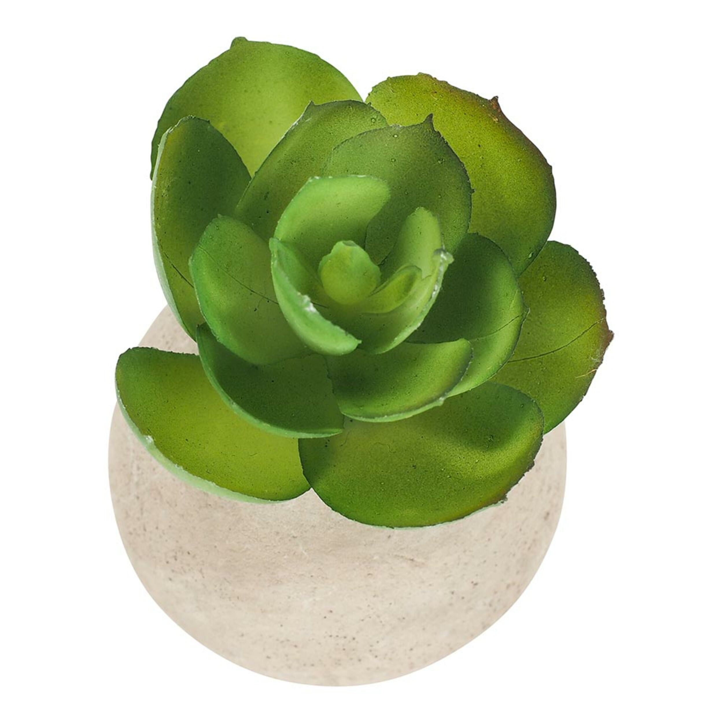 Floret Cactus In Pot 1 7x4.5cm