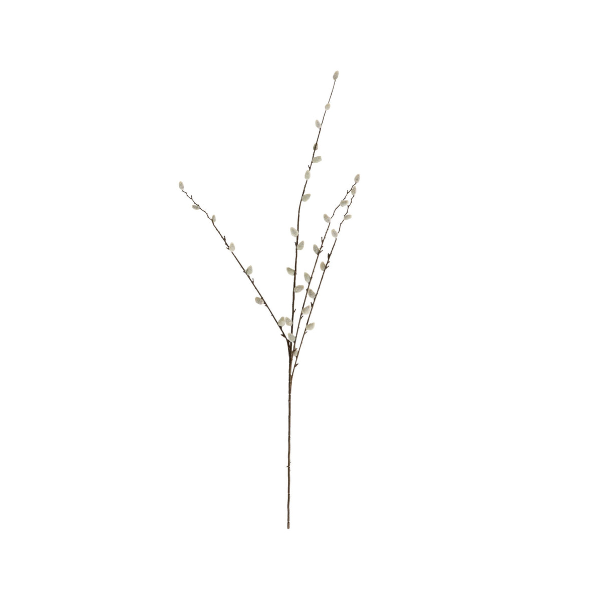 Bloomery Pussy Willow Stem 95cm