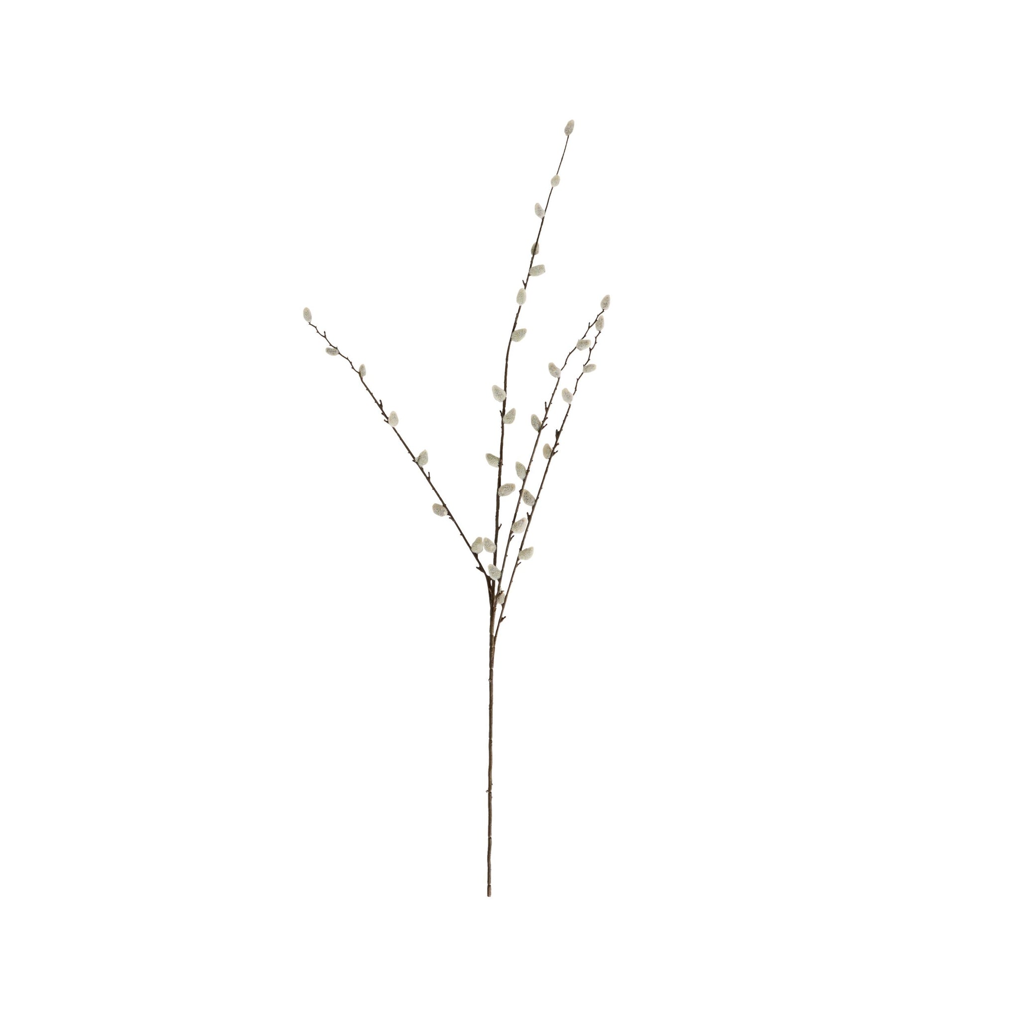 Bloomery Pussy Willow Stem 95cm