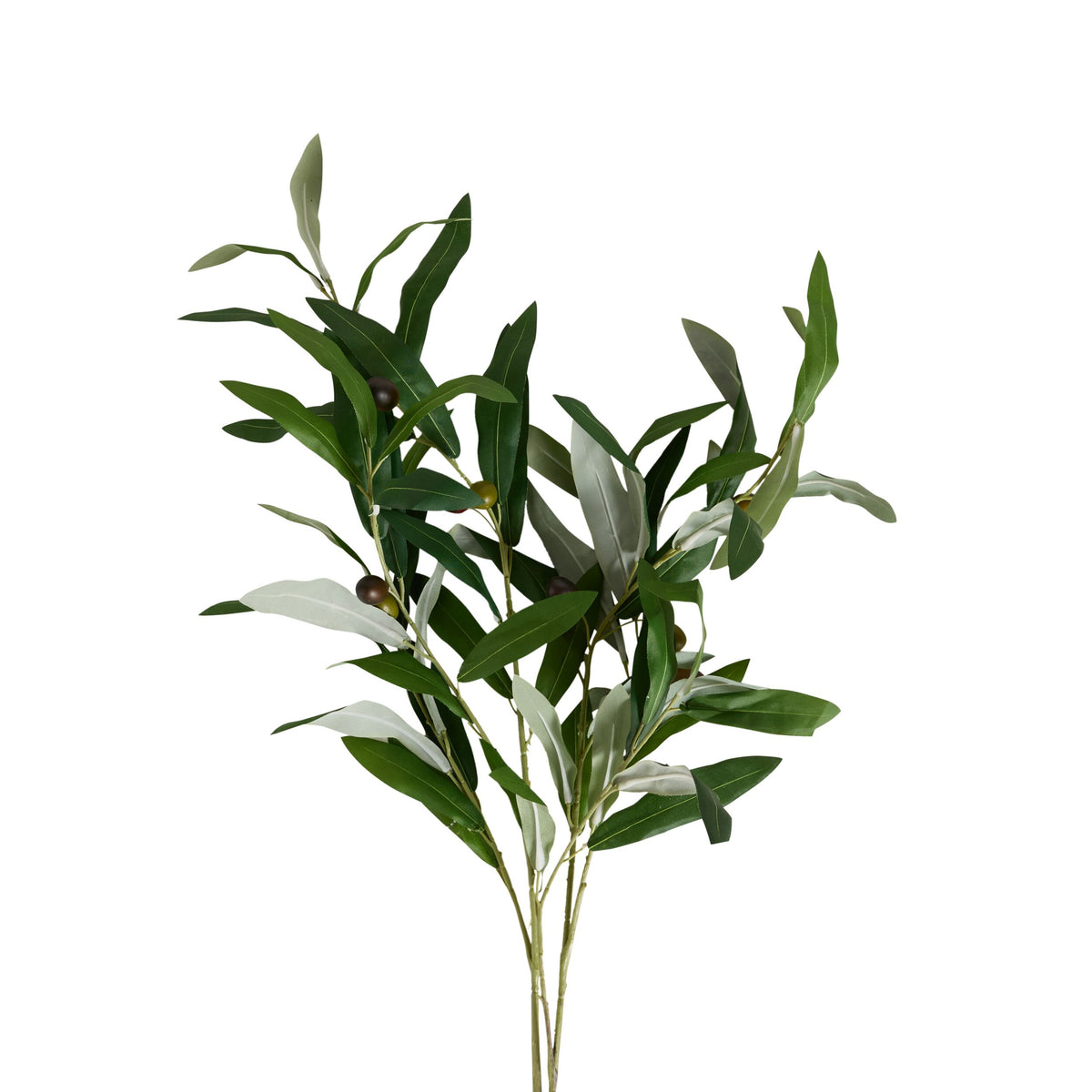 Bloomery Olive Branch Stem 85cm