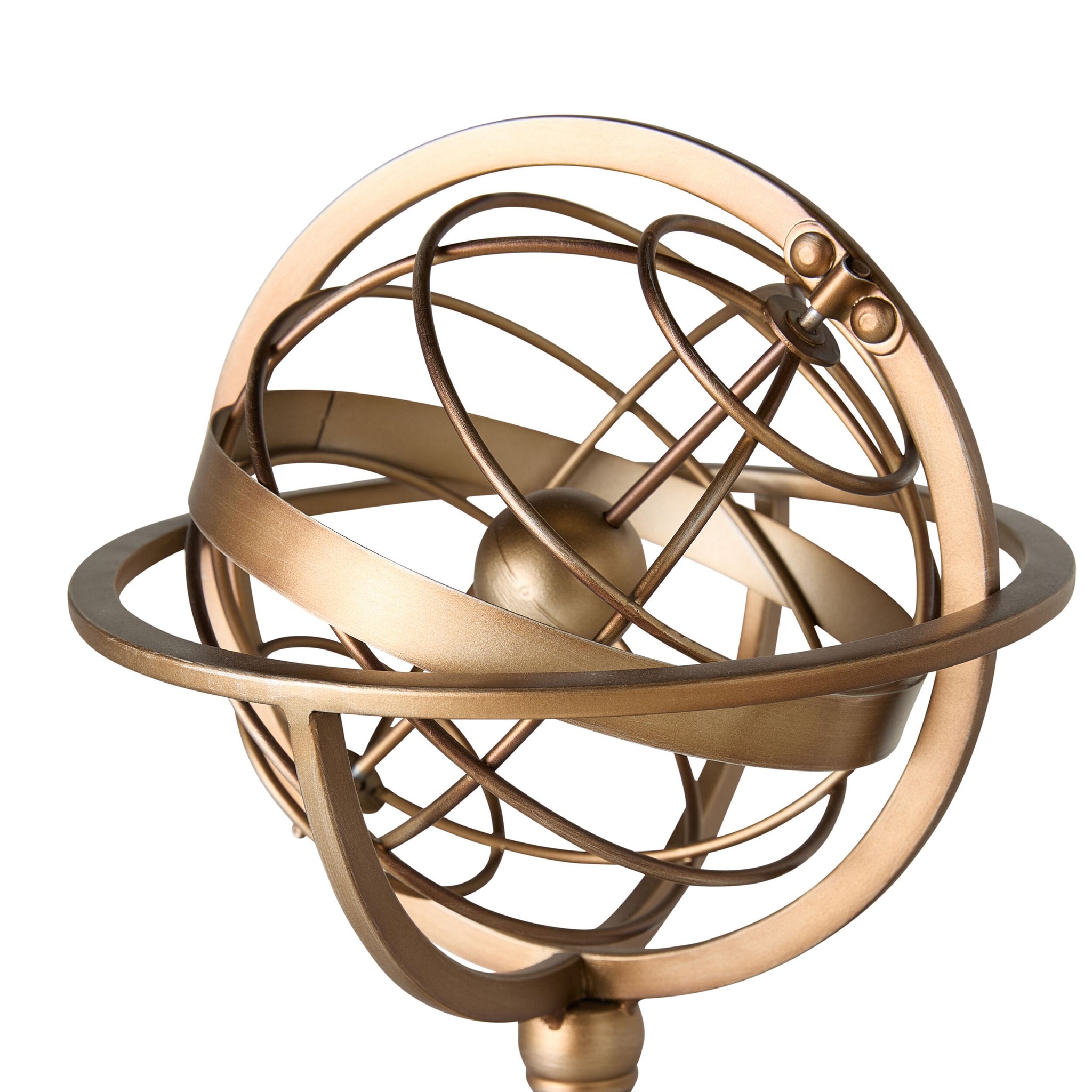 Darwin Desk Globe