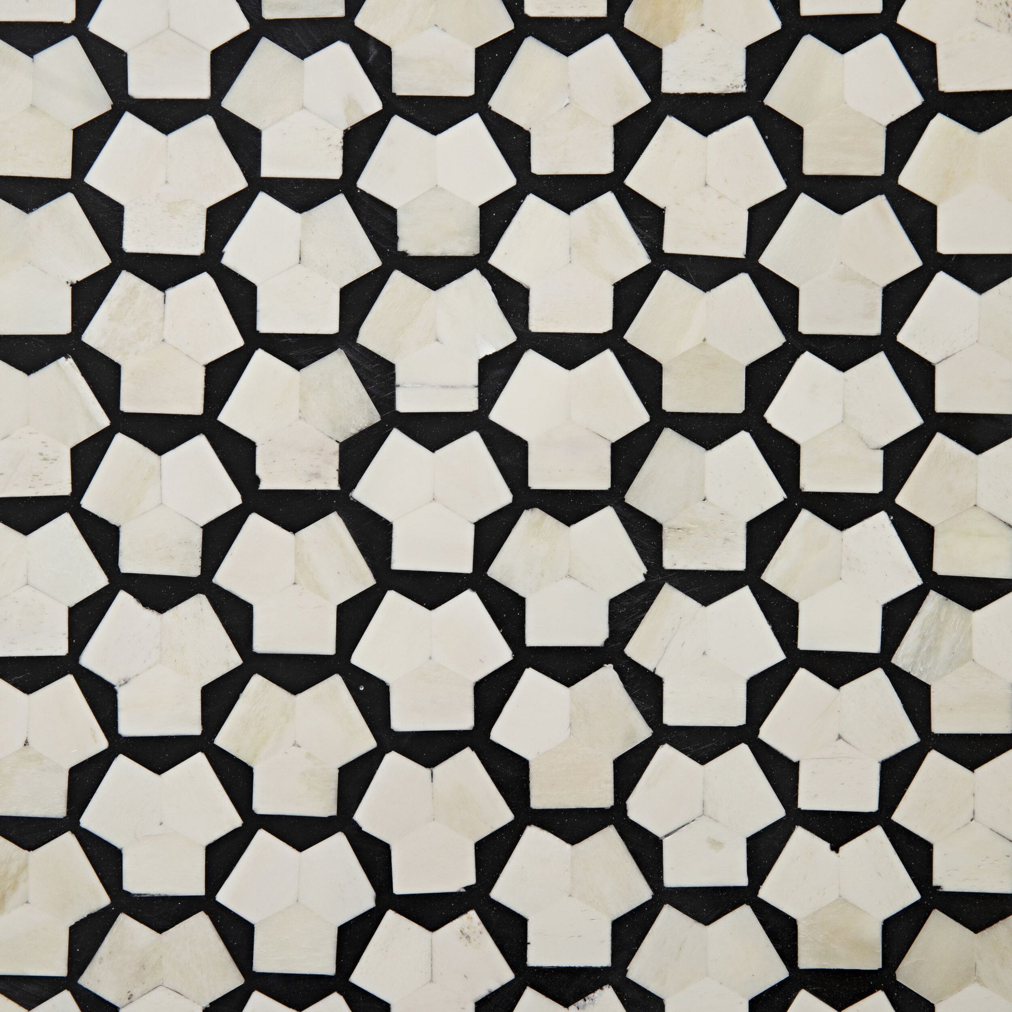 Nora Bone Inlay Coffee Table Black