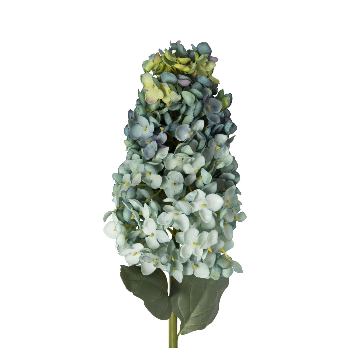 Bloomery Hydrangea Stem Teal 95cm