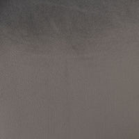 Kianna Occasional Chair Velvet Light Silver