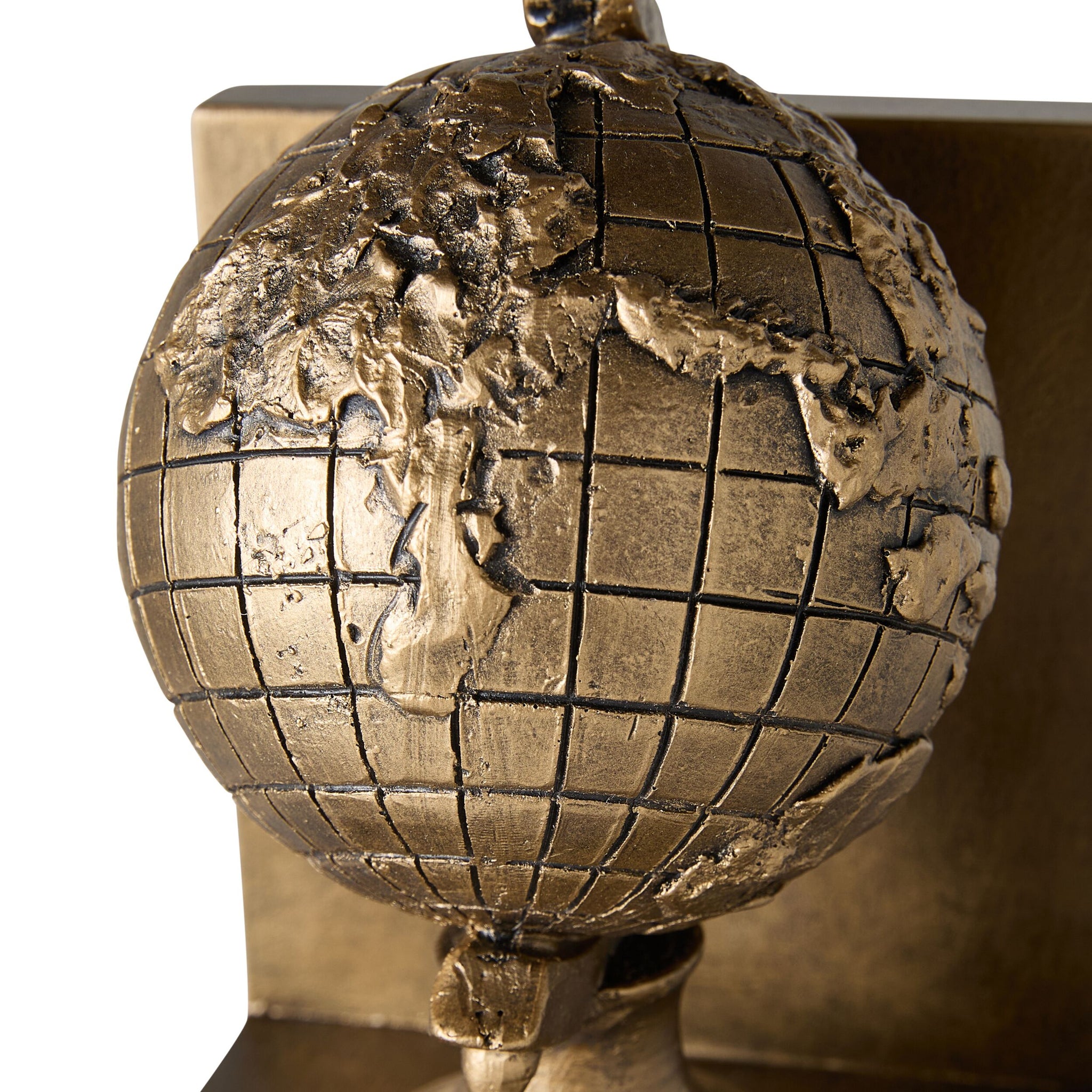 Darwin Globe Bookends