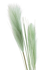 Floret Grass Stem 106cm