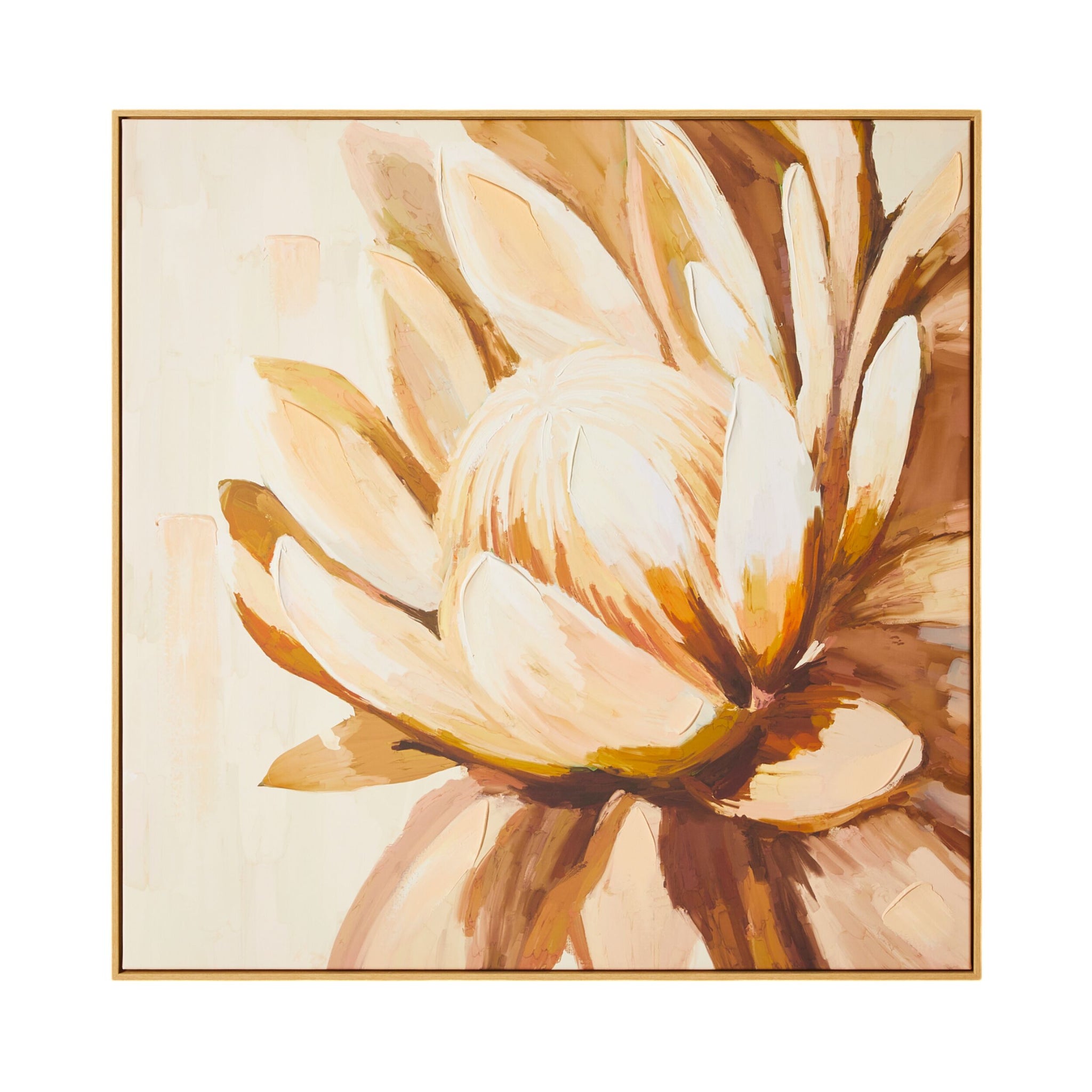 Sunburnt Protea Framed Canvas Print 100x100cm