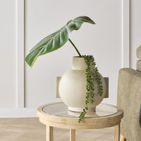 lifestyle_insitu:
