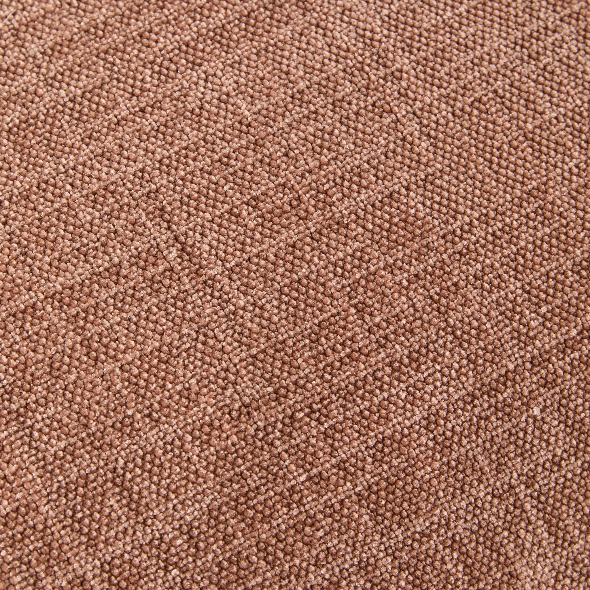 Calico Occasional Chair Rose