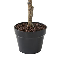 Eden Olive Tree 130cm