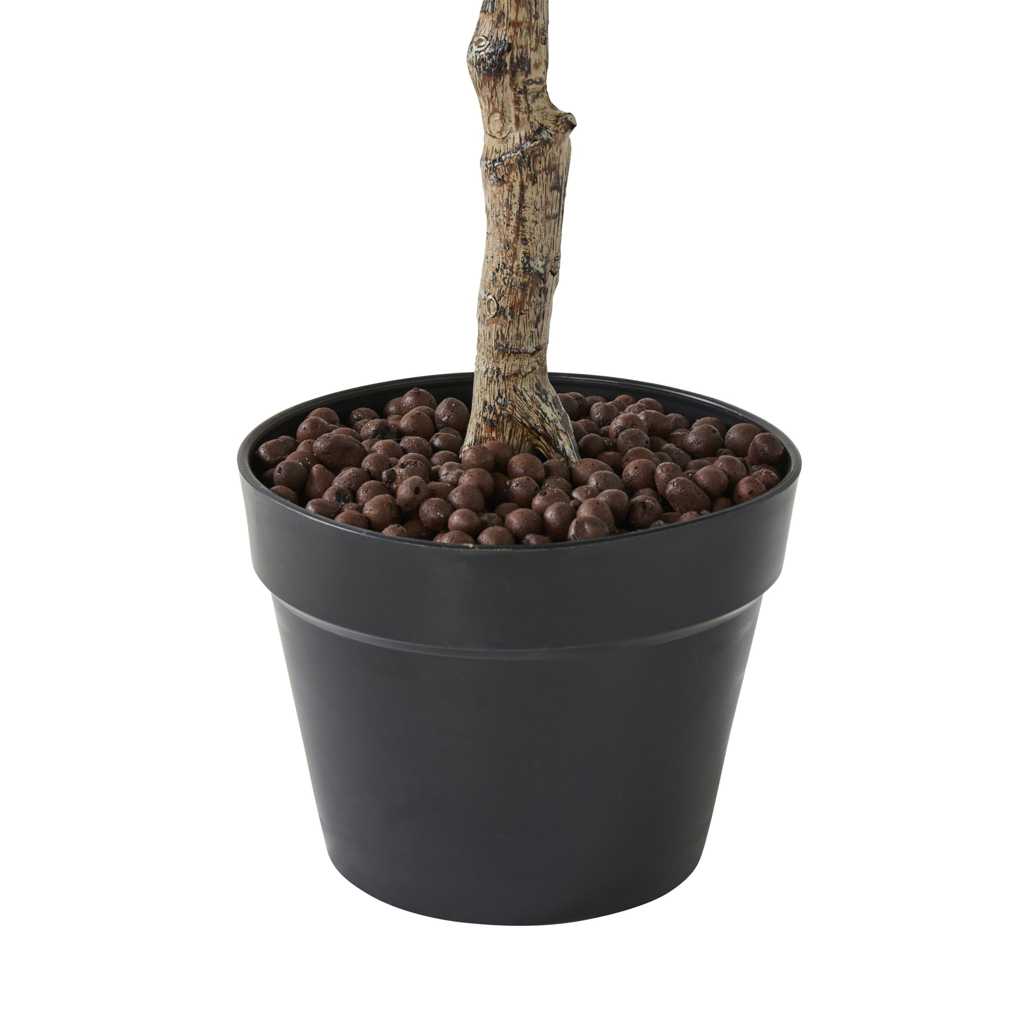 Eden Olive Tree 130cm