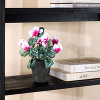 lifestyle_insitu: