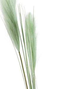 Floret Grass Stem 106cm