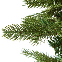 Close-up of a green pine tree branch with intricate needles, echoing the elegant design of the 180cm Celeste Pencil Pine Christmas Tree, set against a white backdrop.