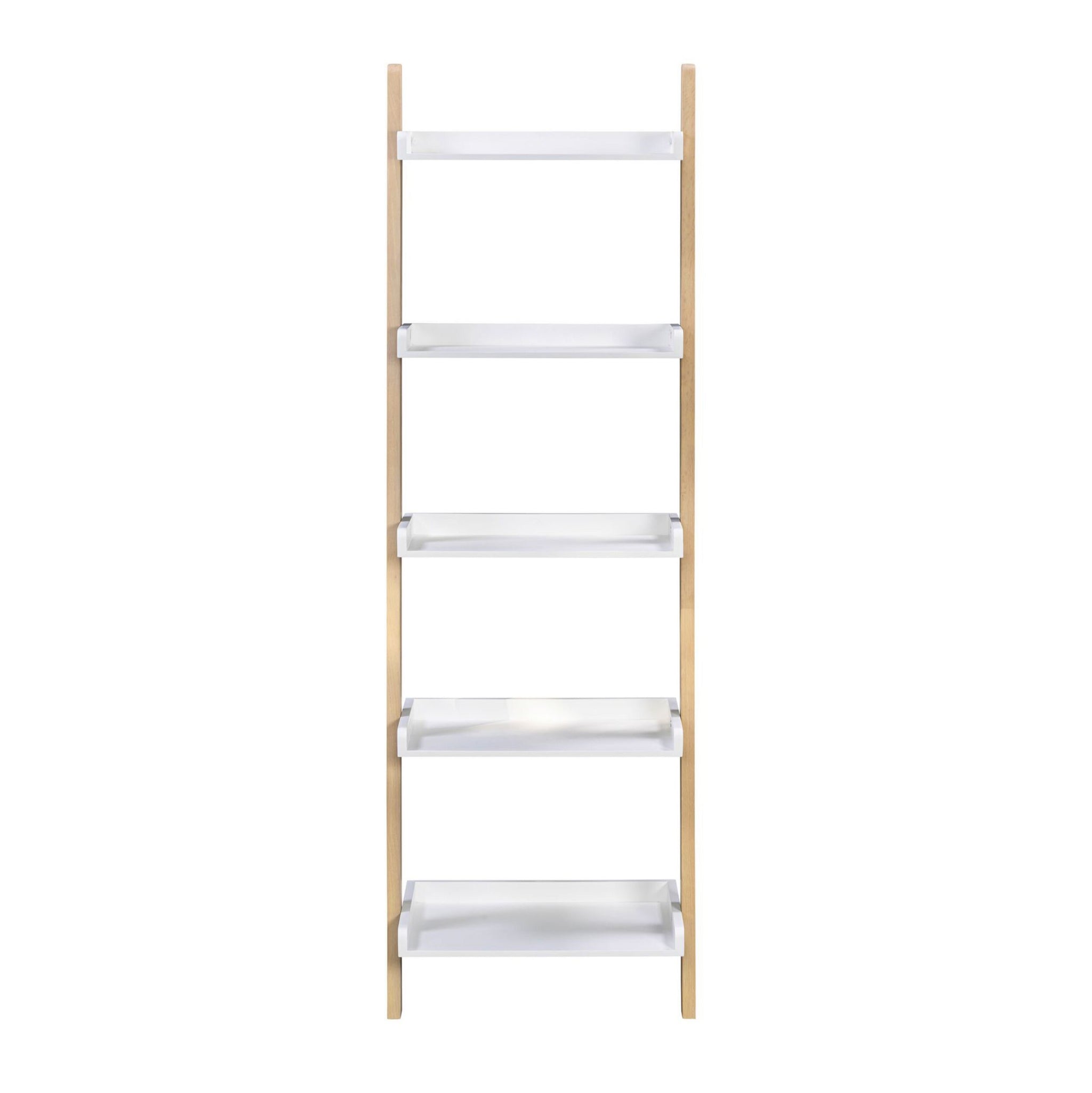 Saige Ladder Shelving Unit