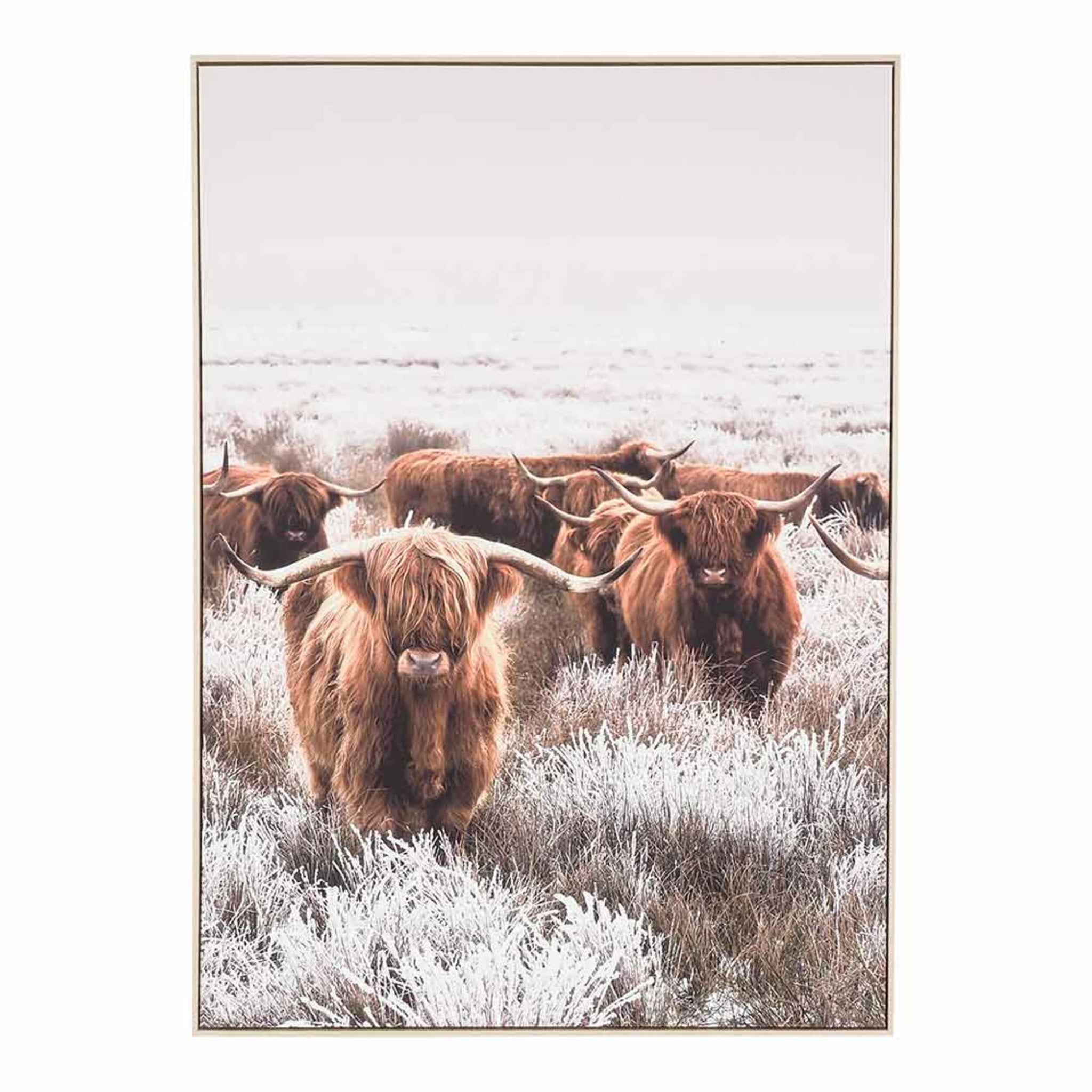 The "Scottish Highland Cow Herd Framed Print 140x100cm" captures a majestic cow with impressive horns standing in a frosty, grassy field under a gray sky, conveying the essence of rustic décor.