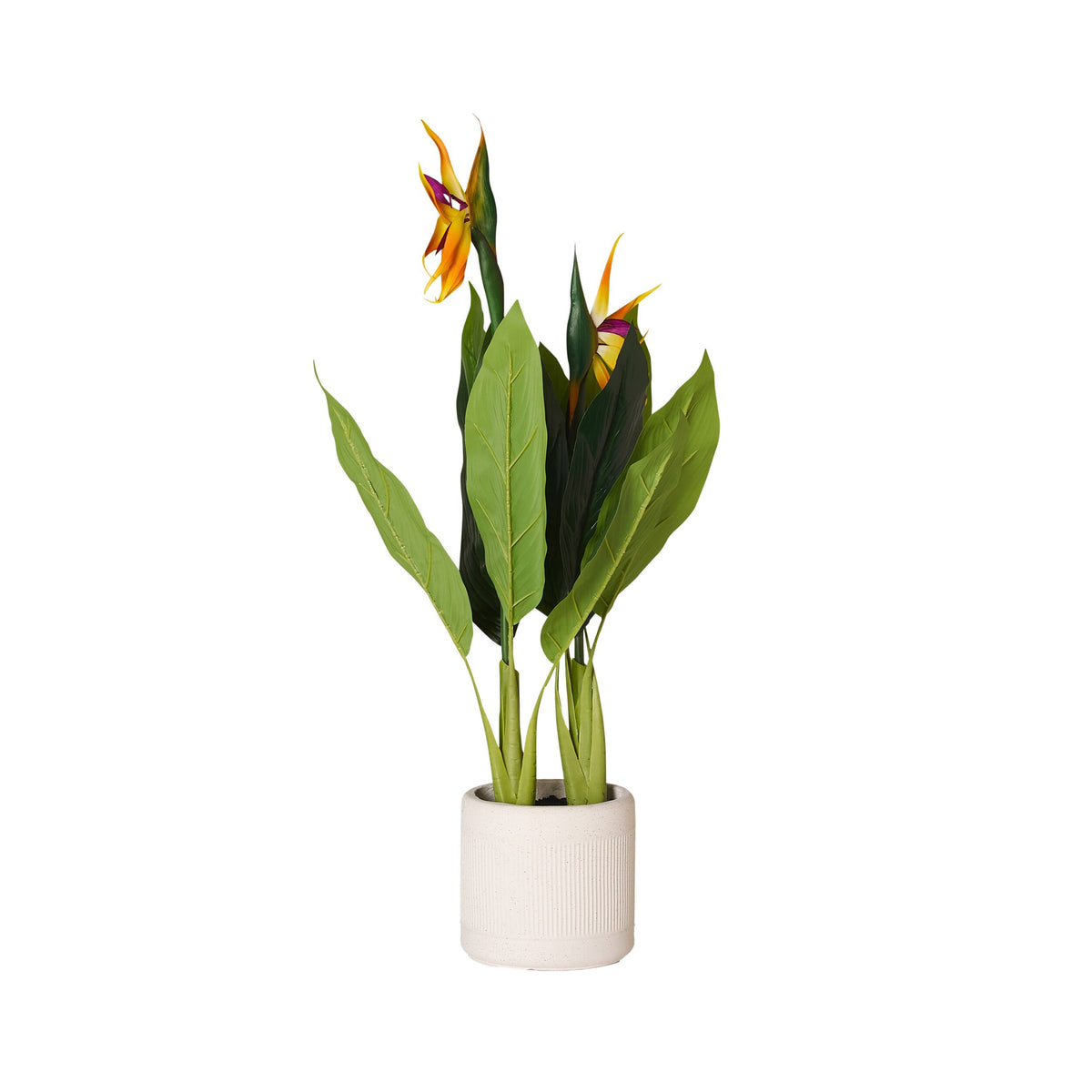 Eden Bird of Paradise 95cm