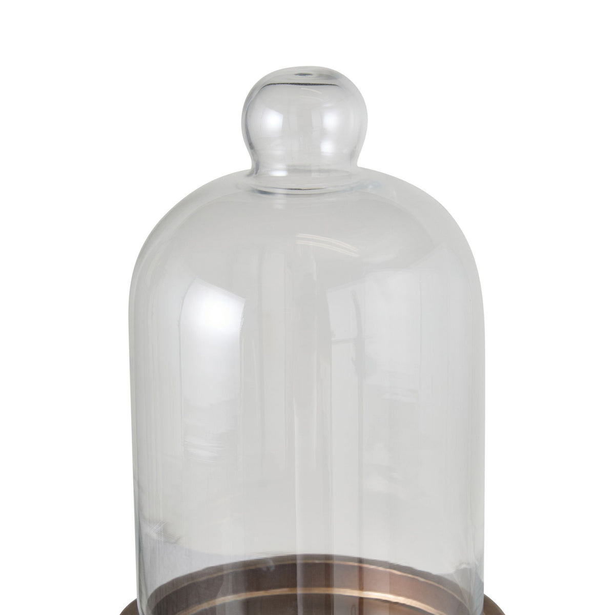 Darwin Glass Cloche