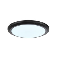 Seabrooke Black Light Kit