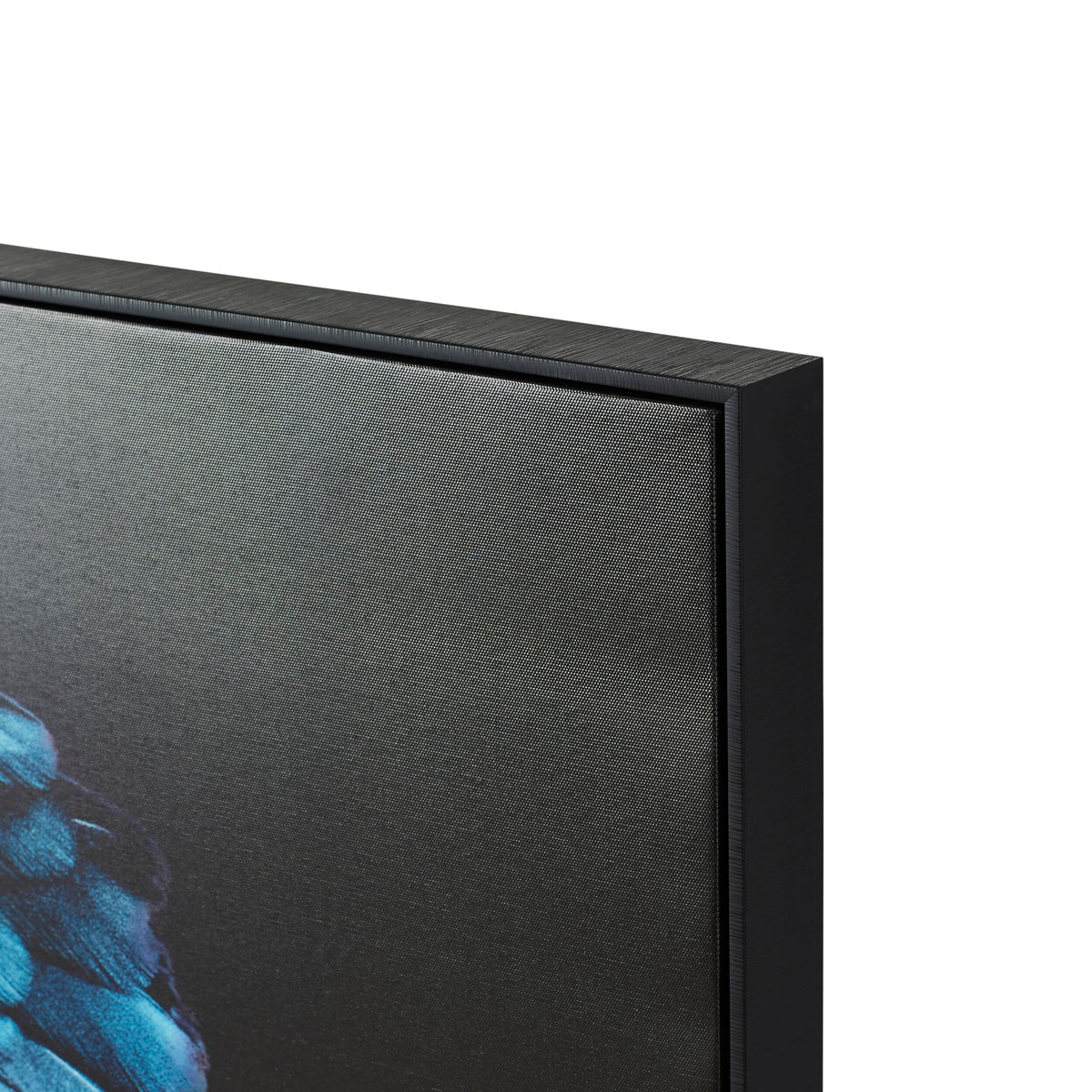 Blue Teal Charles Cockatoo Framed Print 120x80cm