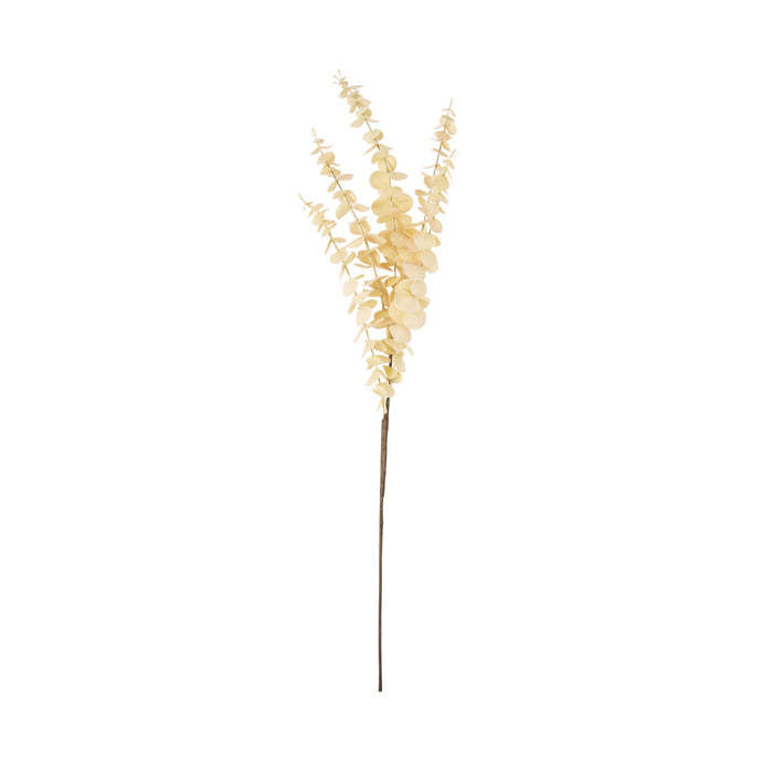 Bloomery Eucalyptus Stem Cream 76cm