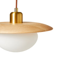 Ella Glass Pendant 30x19cm